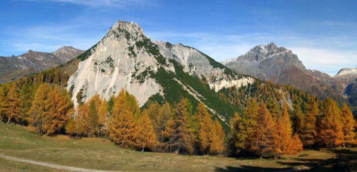 I Camuni dell'Adamello