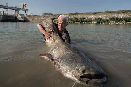 Jeremy Wade con la sua famosa  trasmissione "River Monster"