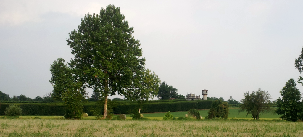 Colline di Castenedolo preistoria bresciana