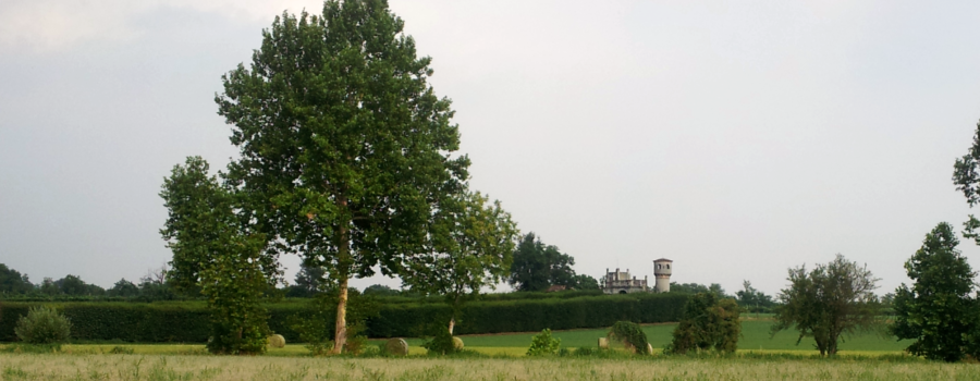 Colline di Castenedolo preistoria bresciana