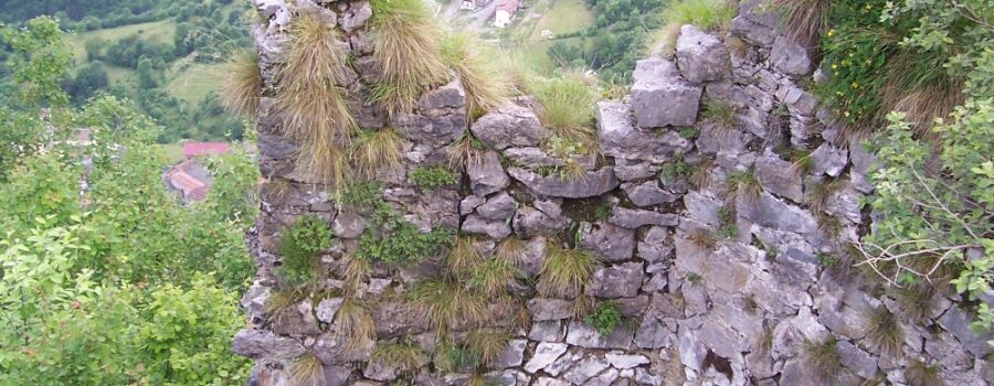 Escursione Torre Castello di Lozio Valle Camonica (8)