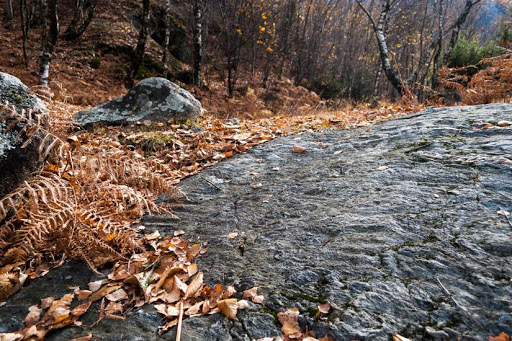 Incisioni Rupestri della Valle Camonica. escursini brescia - sentieri bresciani (4)