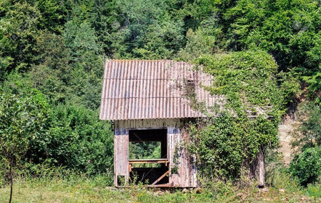 Orientarsi in montagna edera