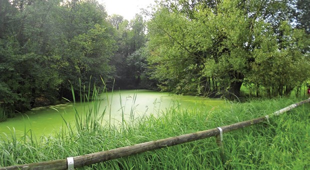 Parco delle Colline di Brescia