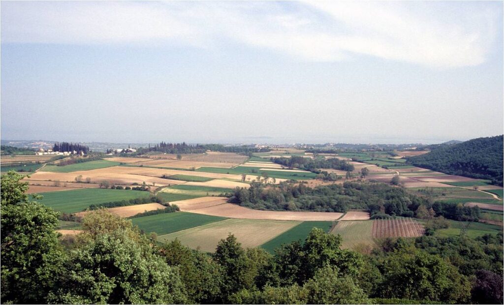 Siti Palafitticoli di Brescia LAgo Lucone