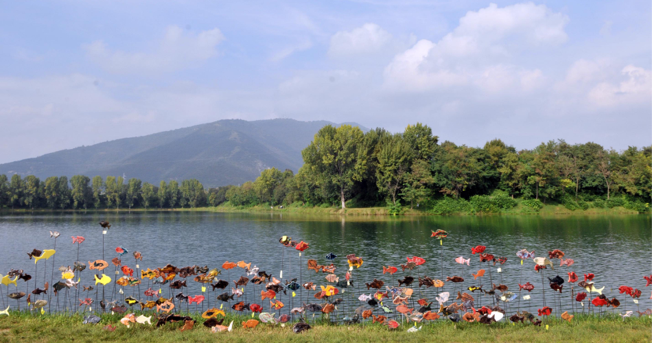 Parco delle Cave di Brescia