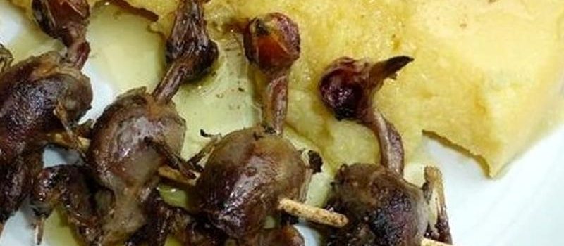 Polenta e osei - Cucina Bresciana - Piatti tipici bresciani