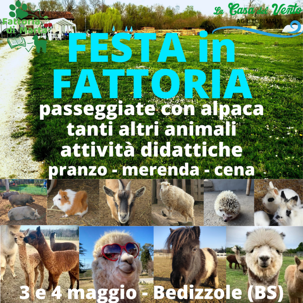 festa in fattoria