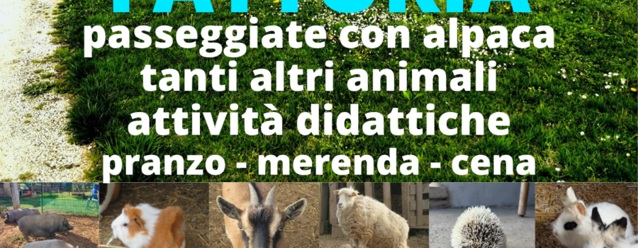festa in fattoria
