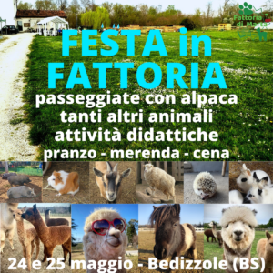 Festa in fattoria