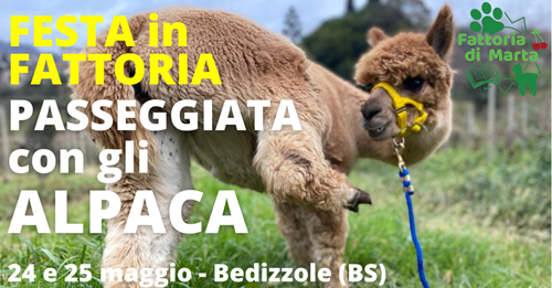 passeggiata con alpaca Brescia